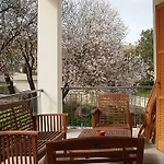 Aunt Maria's Apartment *