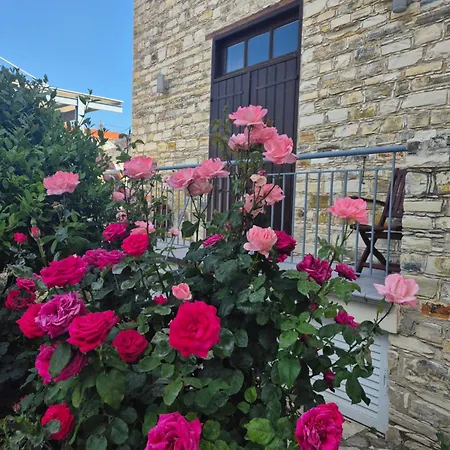 Aunt Maria's Páno Léfkara