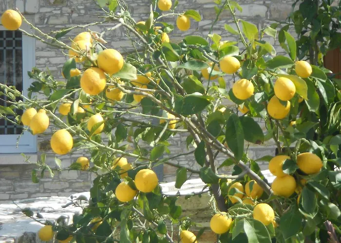 Aunt Maria's Apartmán